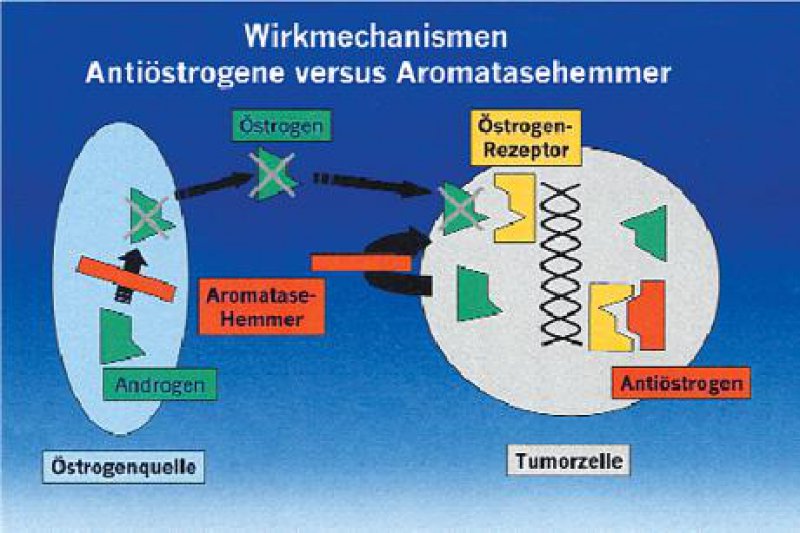 Preis Für Tamoxifen