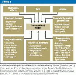 Cancer Related Fatigue 02 03 2012