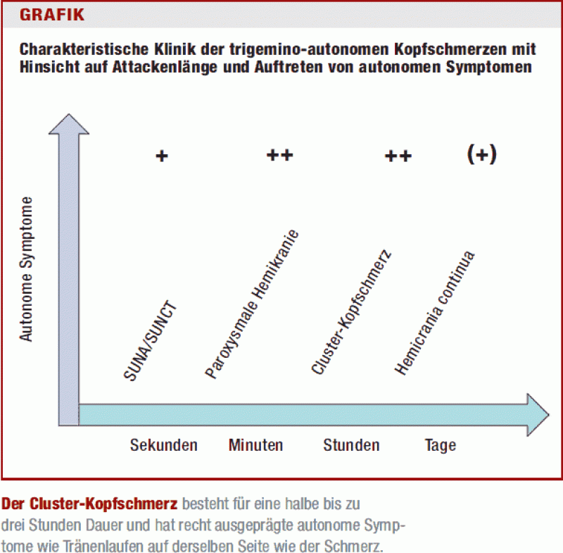Cluster Kopfschmerzen Periodische Attacken
