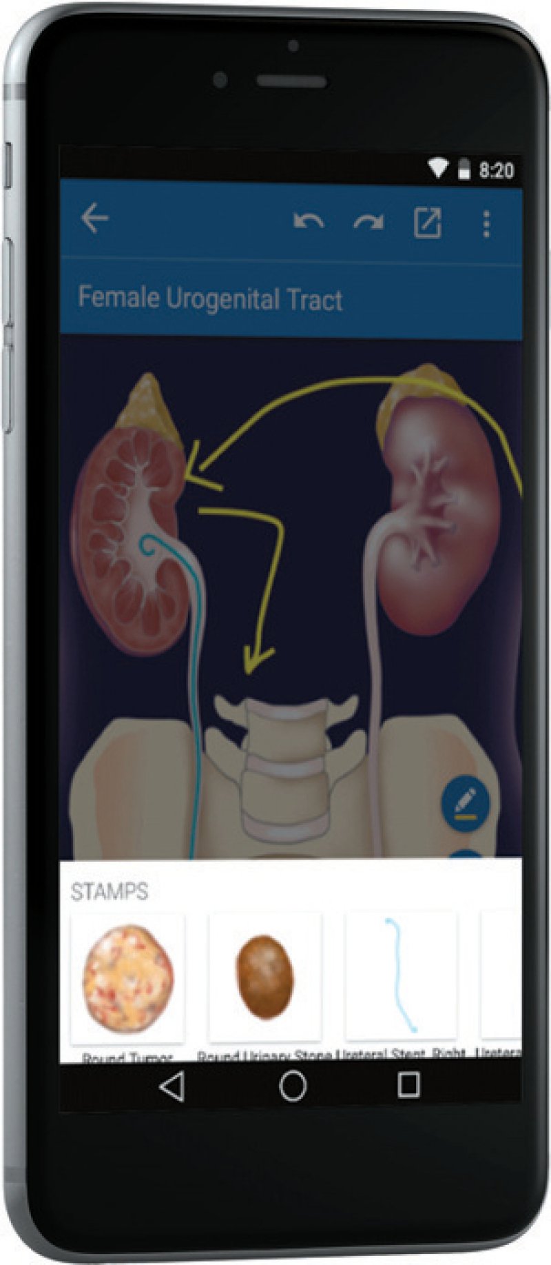 Draw Md Schaubilder Vereinfachen Das Arzt Patienten Gesprach