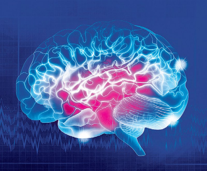 Neurologische Erkrankungen: Leitlinie Zu Exekutiven Dysfunktionen ...